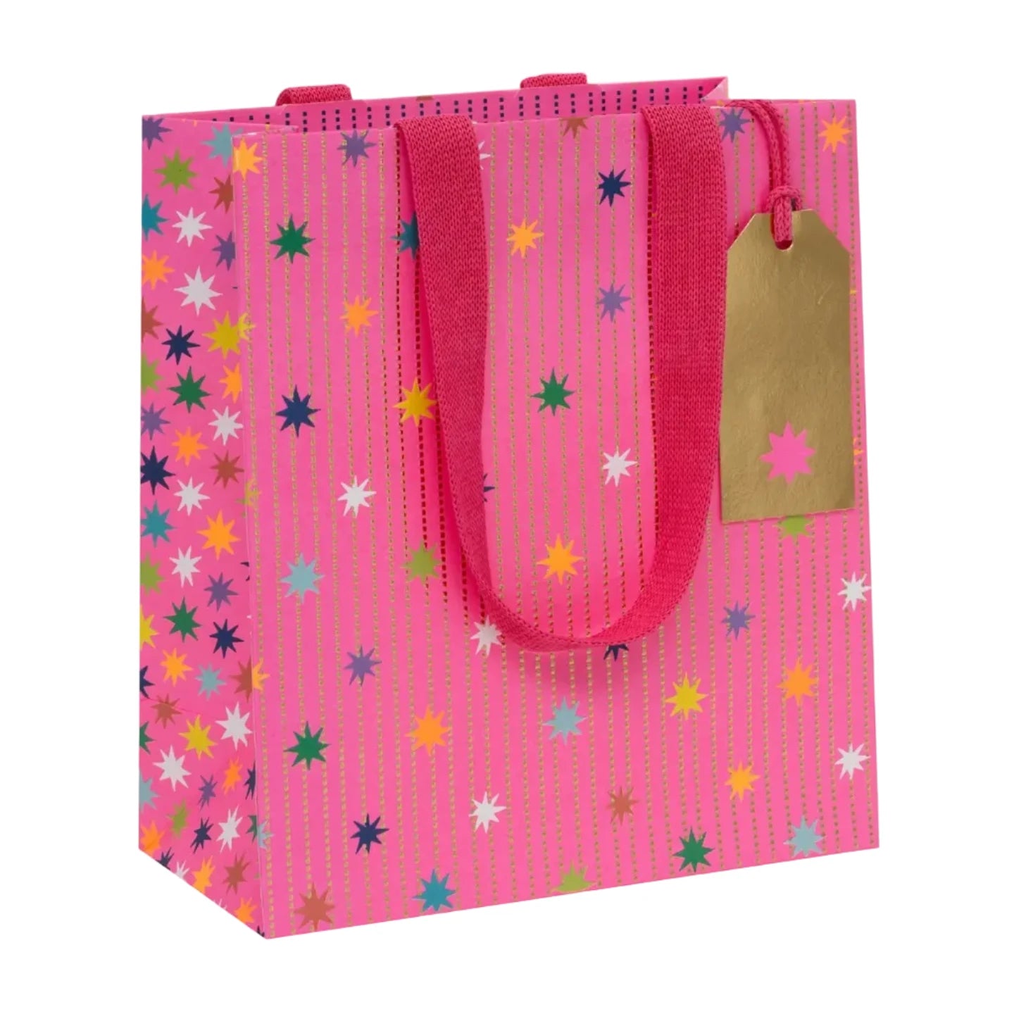 Gift Bag Medium | Pink Garland