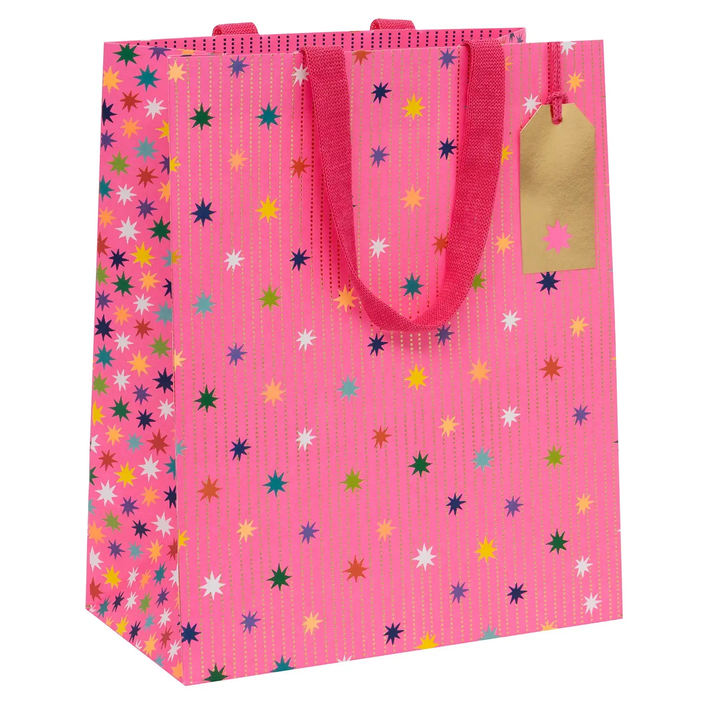 Gift Bag Large | Pink Garland