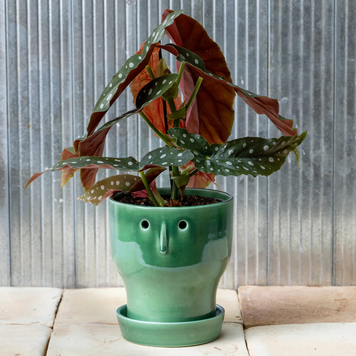 Studio Arhoj | Fnoobie Pot Small