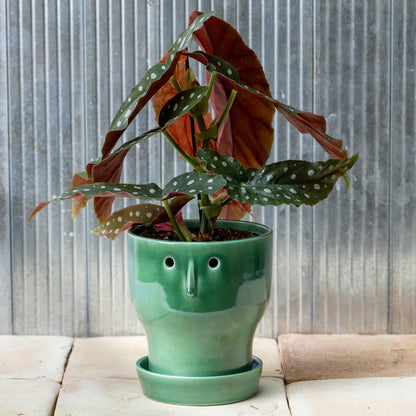 Studio Arhoj | Fnoobie Pot Small