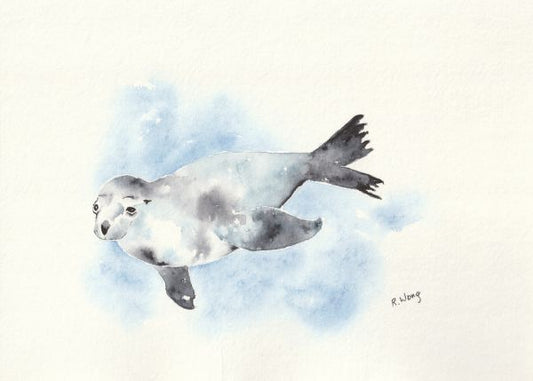 Richard Wong Card | Harbour Seal