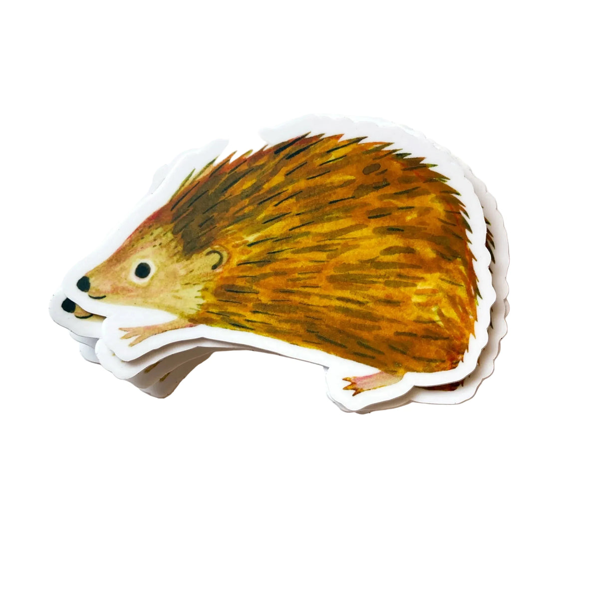 Hedgehog Sticker