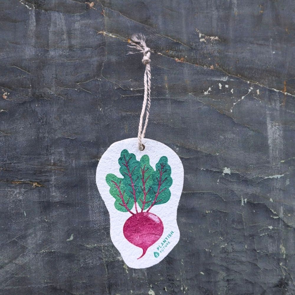 Pop Up Sponge | Beet Green