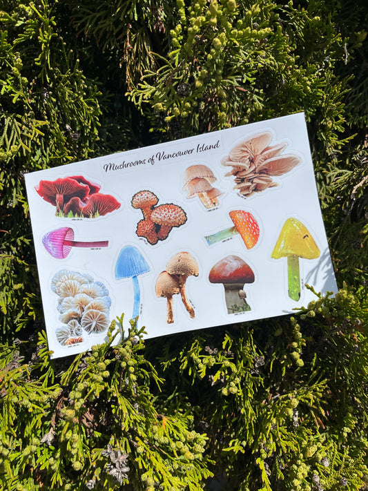 Mushrooms of Vancouver Island Sticker Sheet