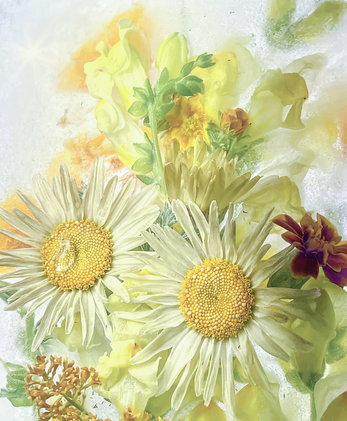 Mothali Photography | Frozen Flower Cards