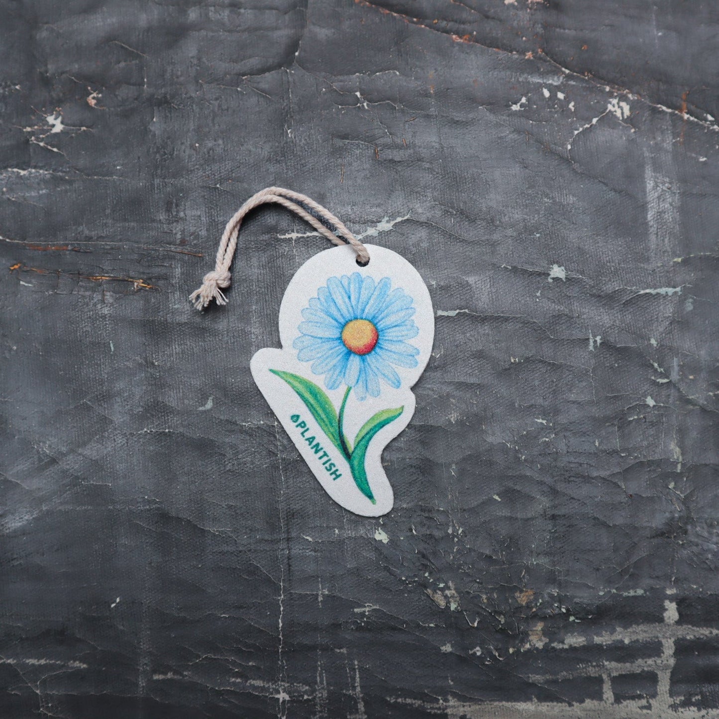 Pop Up Sponge | Blue Daisy