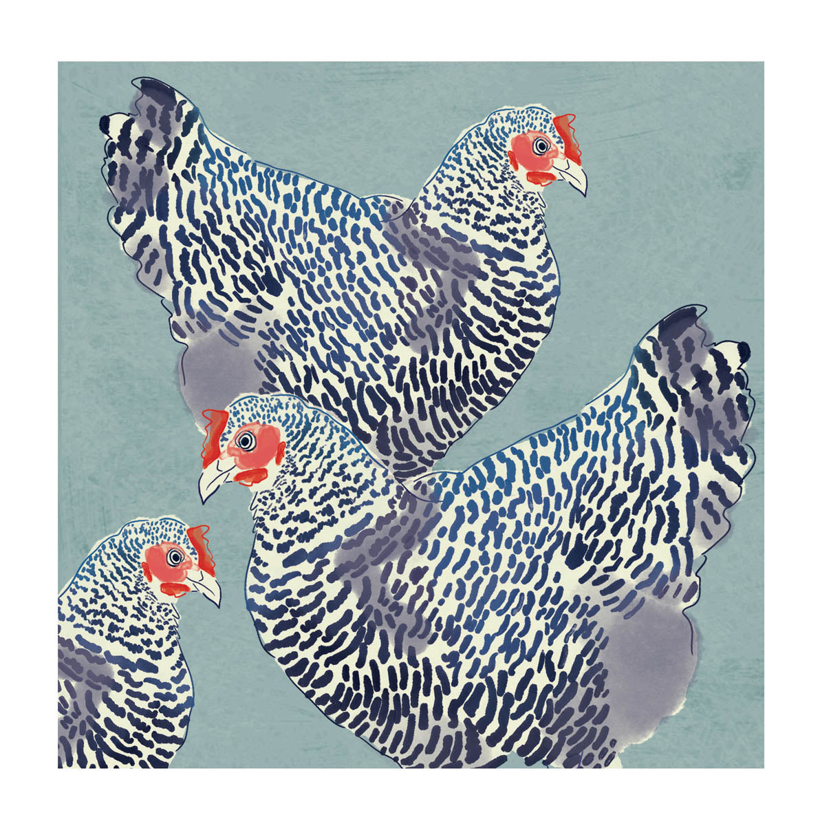 Chickens | Blank Card