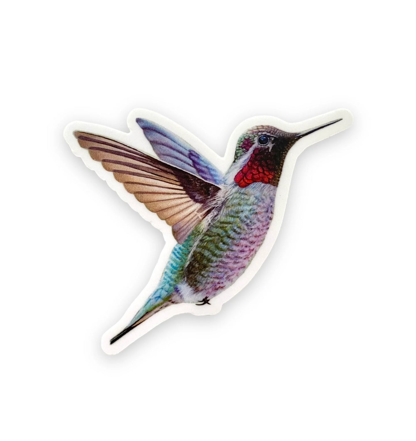 Hummingbird Sticker