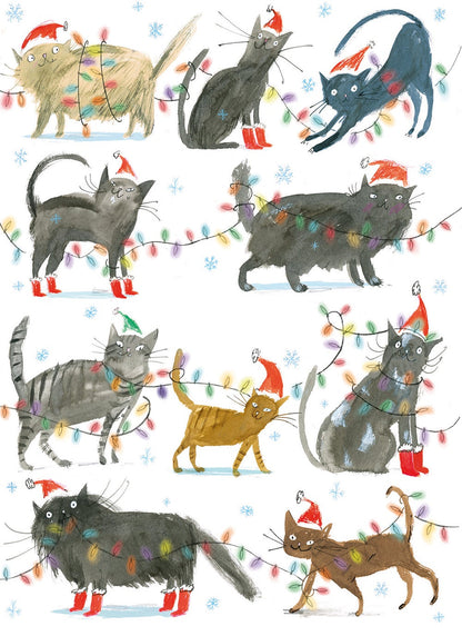 Christmas Cats | Boxed Cards