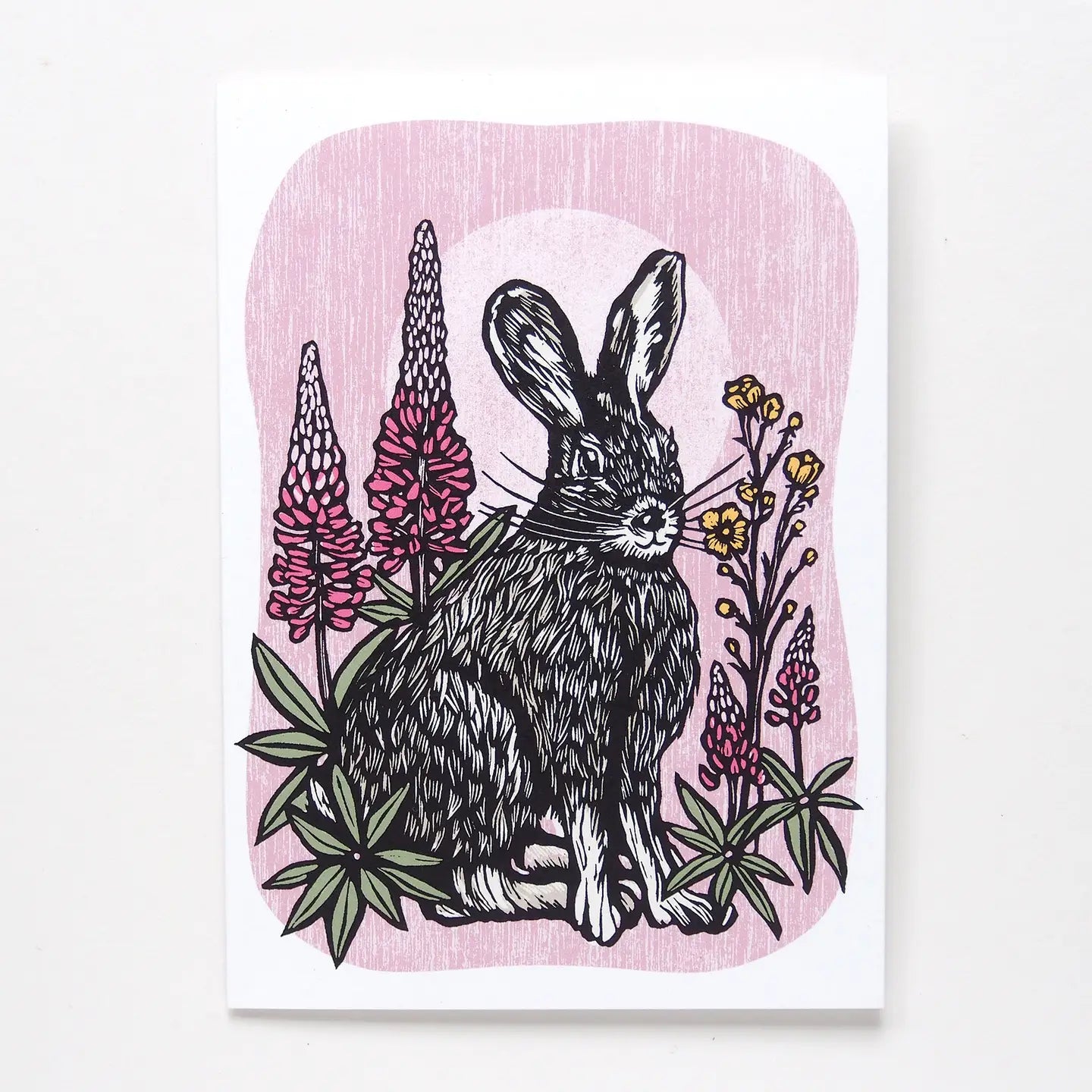 Hare & Lupins | Blank Card