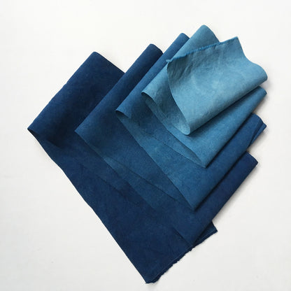 Indigo Dye Kit