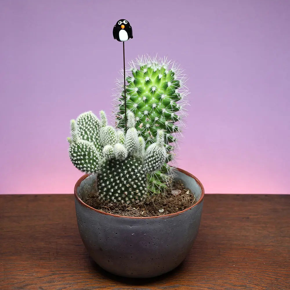 Glass Plant Stake Decoration | Penguin