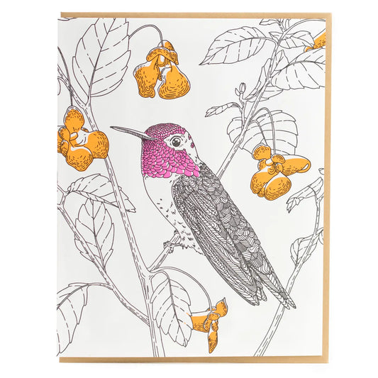 Anna's Hummingbird | Blank Card