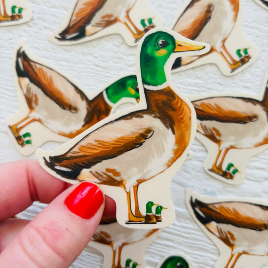 Duck in Duck Slippers Sticker