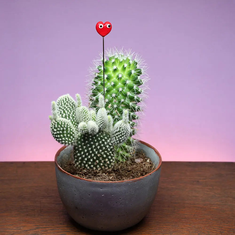 Glass Plant Stake Decoration | Heart With Eyes