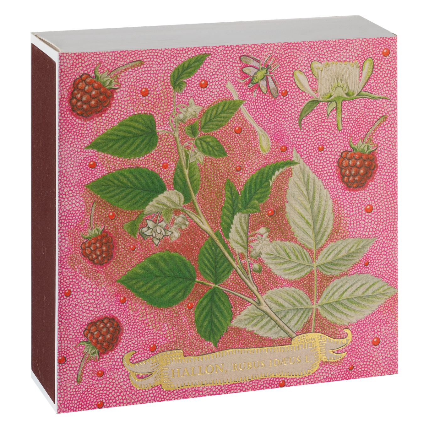 Archivist Gallery | Rose Framboise Safety Matches - Warm Gift Shop
